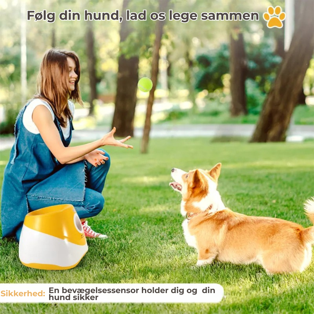 AutoApport™ | Fra Kaos til Ro – Din Hunds Nye Yndlingsleg!