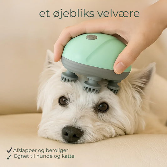 KatteRo™ | Rolig Pelsmassage – Hemmeligheden bag et Lykkeligere Kæledyr
