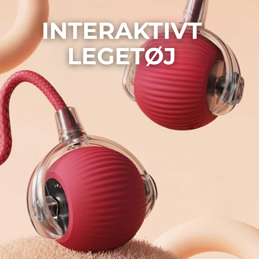 FurFun™ | Uendelig sjov for din pelsede ven – interaktiv leg gjort nemt!
