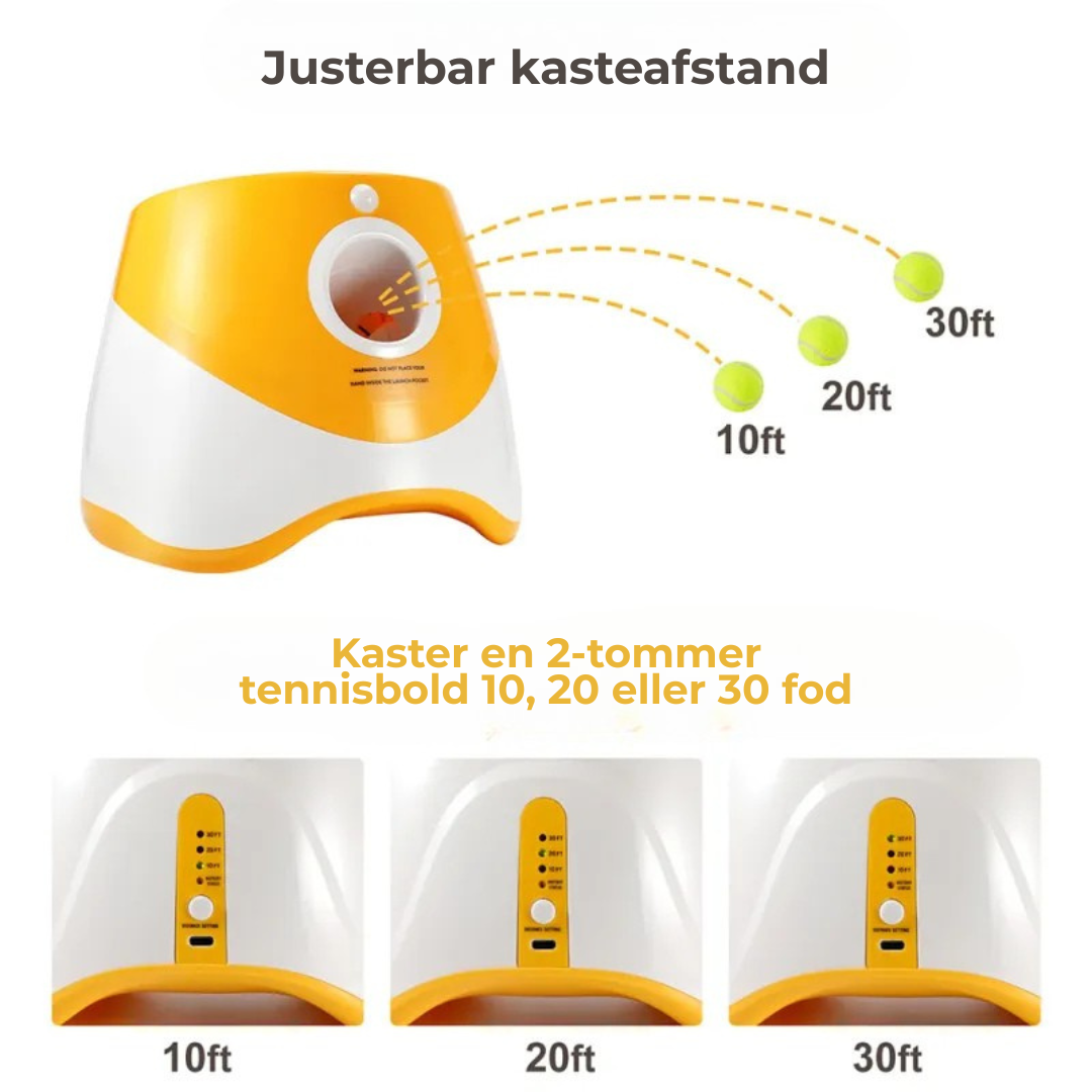 AutoApport™ | Fra Kaos til Ro – Din Hunds Nye Yndlingsleg!