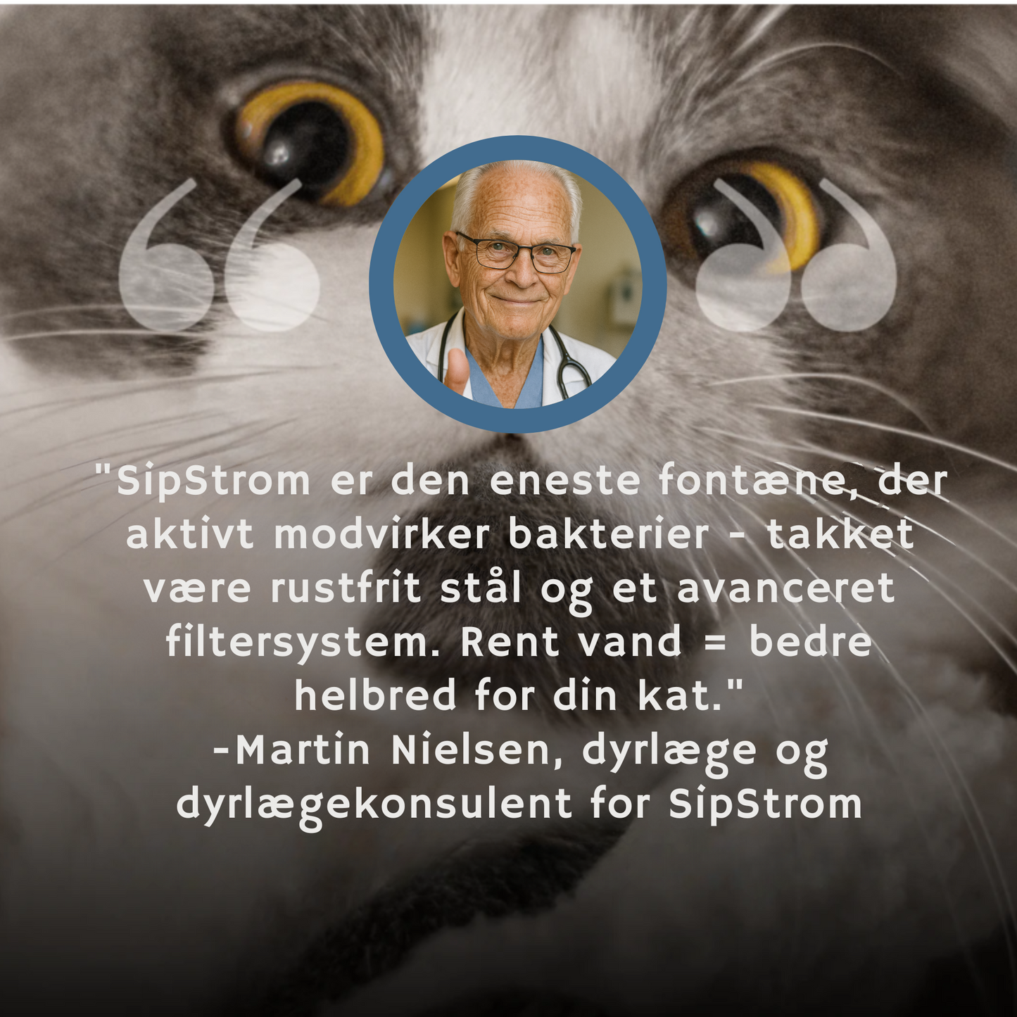 SipStrom™ - Fontæne