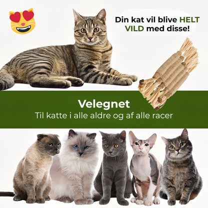 KatteKnas™ Naturlige silvervine tandpinde – rene tænder, glad kat