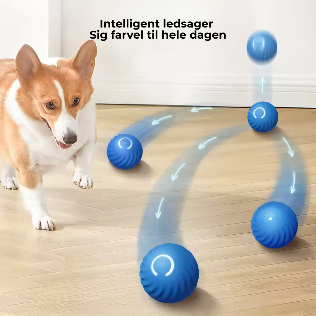 BounceBuddy™ - Selv når du ikke kan lege.