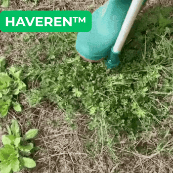 HaveRen™ Ukrudtsfjerner uden bøjning
