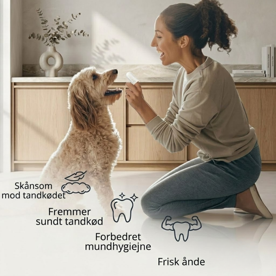 PetSmile™ Blide tandservietter til hund og kat