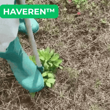 HaveRen™ Ukrudtsfjerner uden bøjning
