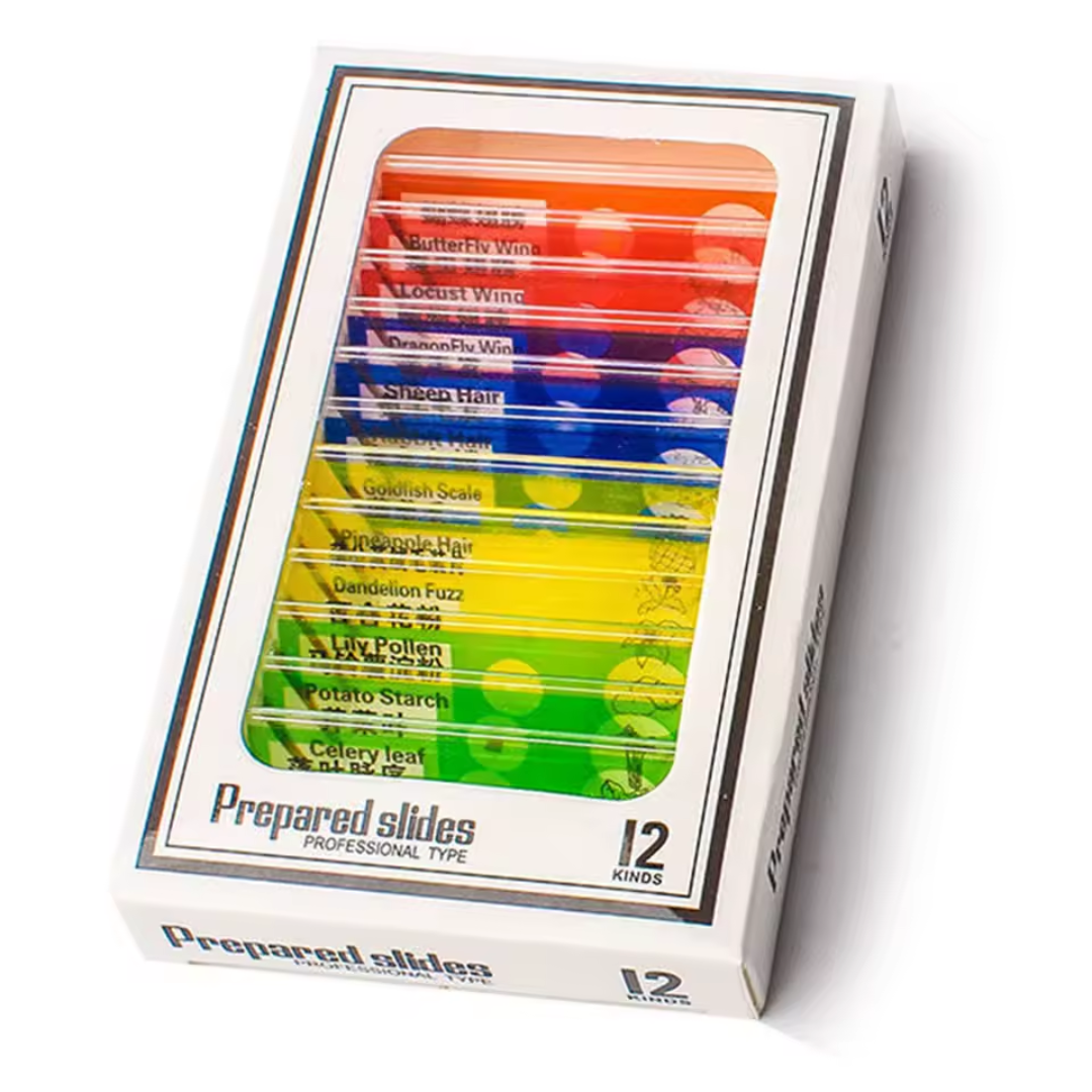 MikroZoom™ | Opdag Det Usynlige – Håndholdt Mikroskop til Børn