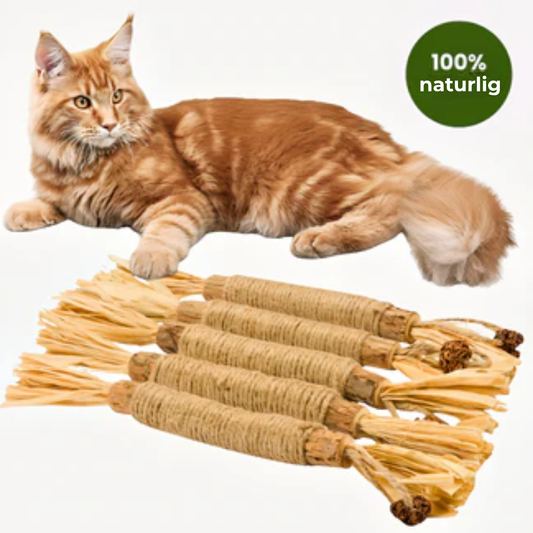 KatteKnas™ Naturlige silvervine tandpinde – rene tænder, glad kat