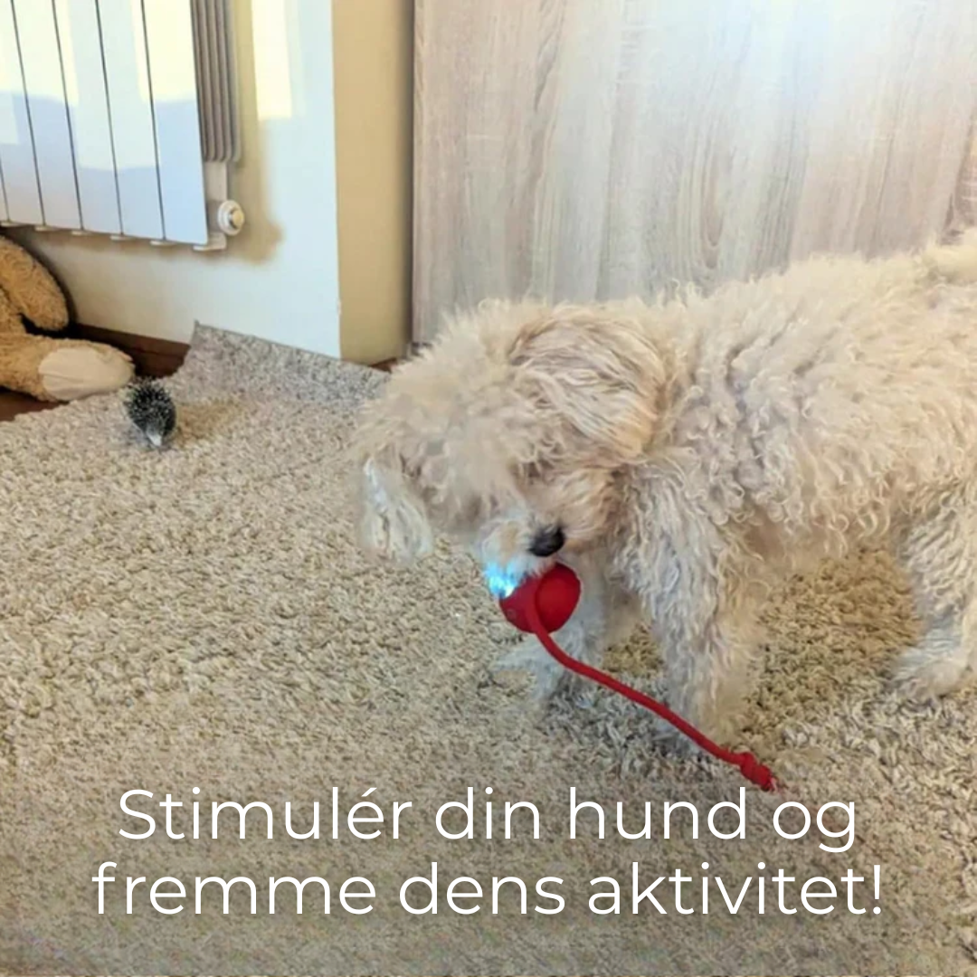 FurFun™ | Uendelig sjov for din pelsede ven – interaktiv leg gjort nemt!