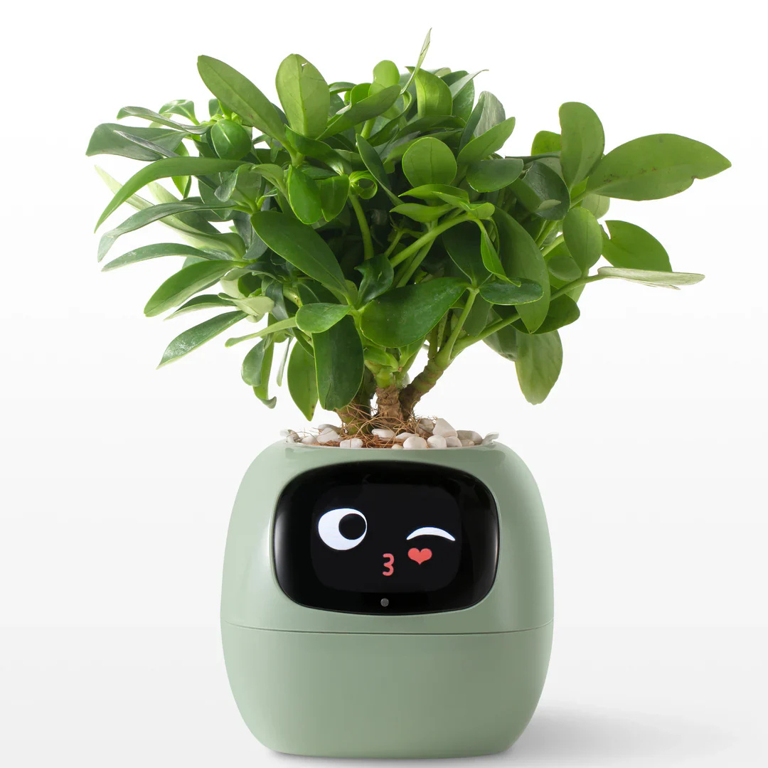 GrowSense™ | Den Smarte Plantepotte, der Bliver Din Nye Planteven! 🌱