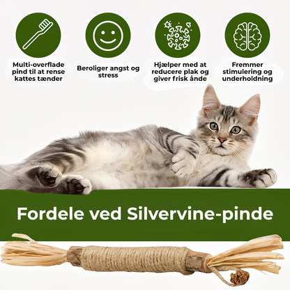 KatteKnas™ Naturlige silvervine tandpinde – rene tænder, glad kat