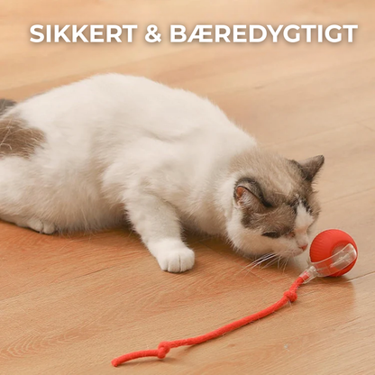 FurFun™ | Uendelig sjov for din pelsede ven – interaktiv leg gjort nemt!