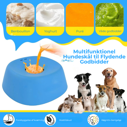 RoligRav™ | Snackbolden hunde elsker – og som skaber ro derhjemme
