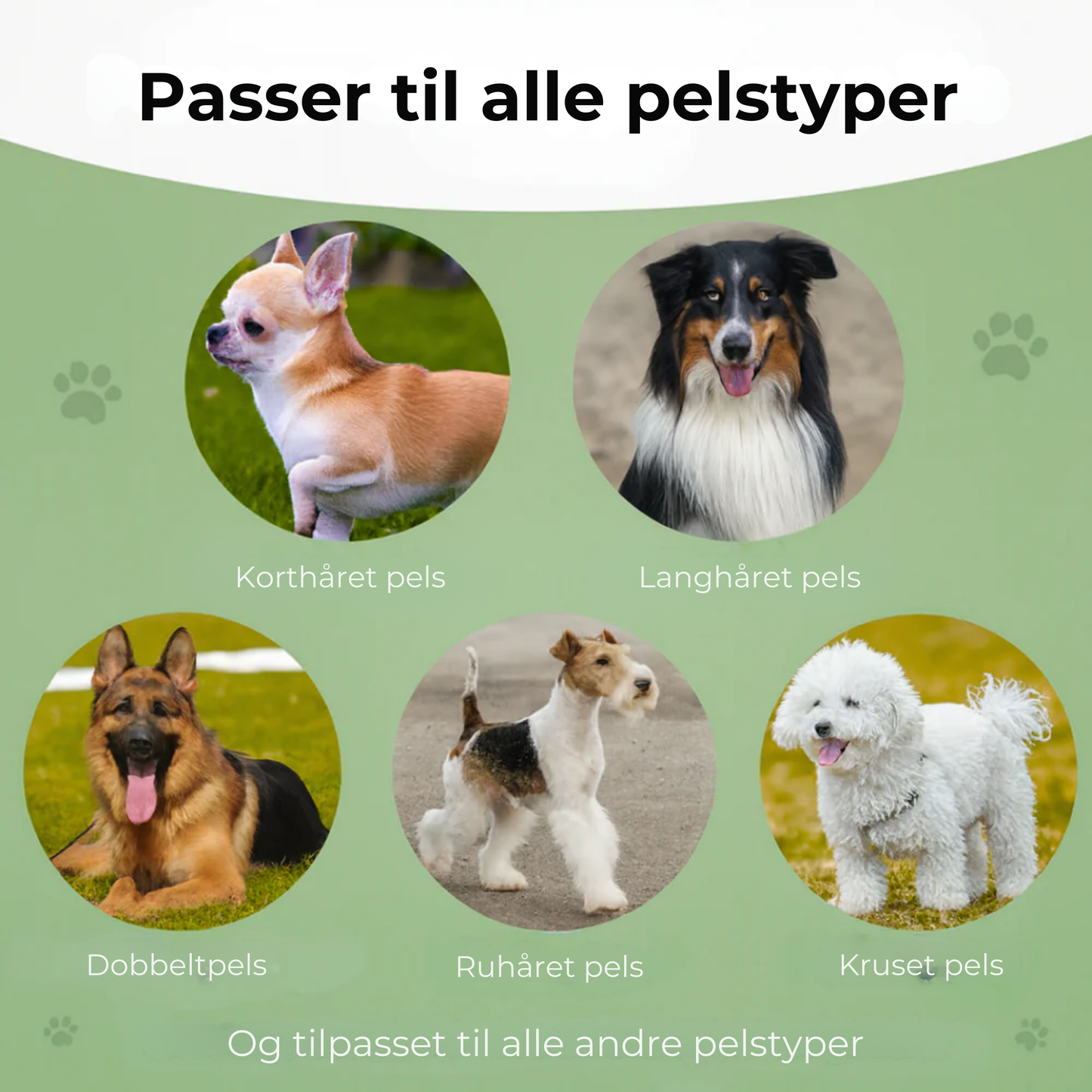 EasyPels Børste™ | Slut med pels overalt – Den ultimative hundebørste alle ejere elsker!