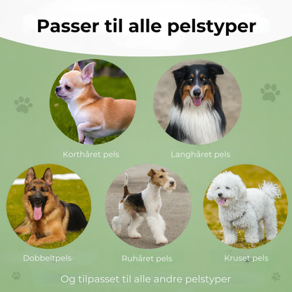EasyPels Børste™ | Slut med pels overalt – Den ultimative hundebørste alle ejere elsker!