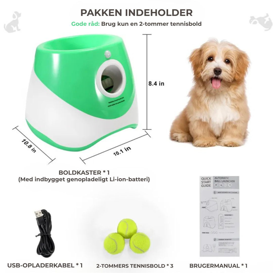 AutoApport™ | Fra Kaos til Ro – Din Hunds Nye Yndlingsleg!