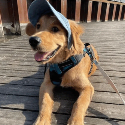 HundeHat™ | Stilfuld Solbeskyttelse Til Din Hund På Hver Gåtur