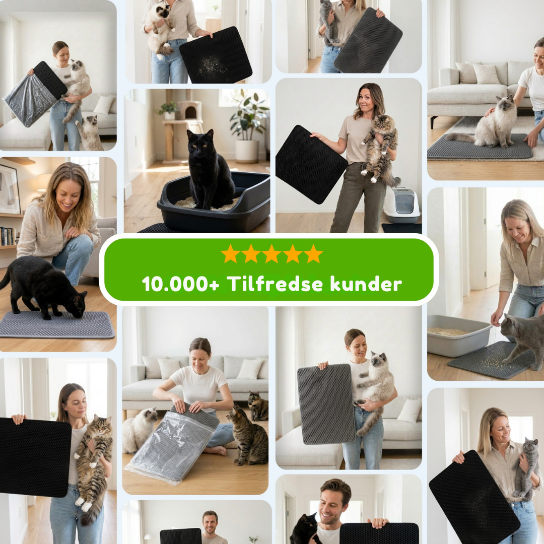 SandFang™ Opfang kattestrøelsen