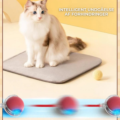 FurFun™ | Uendelig sjov for din pelsede ven – interaktiv leg gjort nemt!