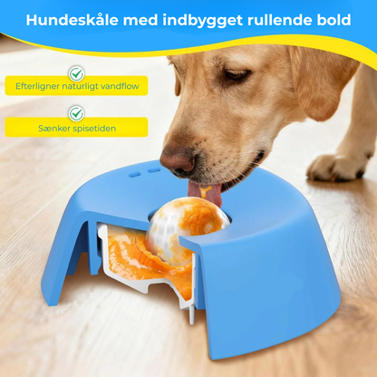 RoligRav™ | Snackbolden hunde elsker – og som skaber ro derhjemme