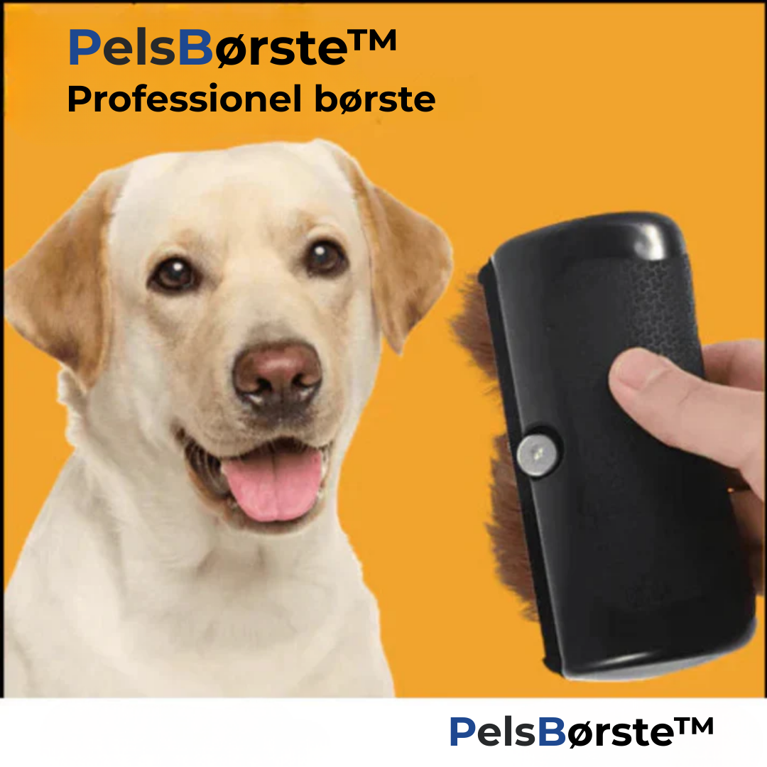 PelsBørste™ | Den ultimative hundebørste mod fældning og lopper
