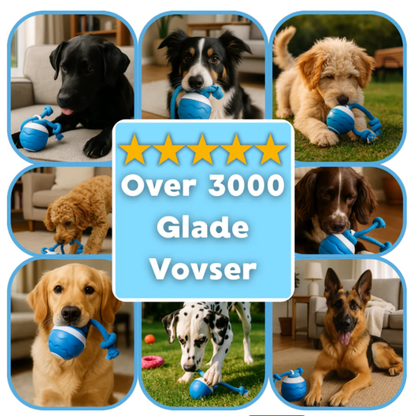 SmartBold™ | Legetøjet der holder din hund glad, aktiv og sund