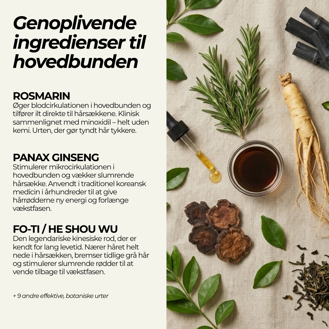 Koreansk Hårbar™ Naturlig fast shampoo med 12 fermenterede urter