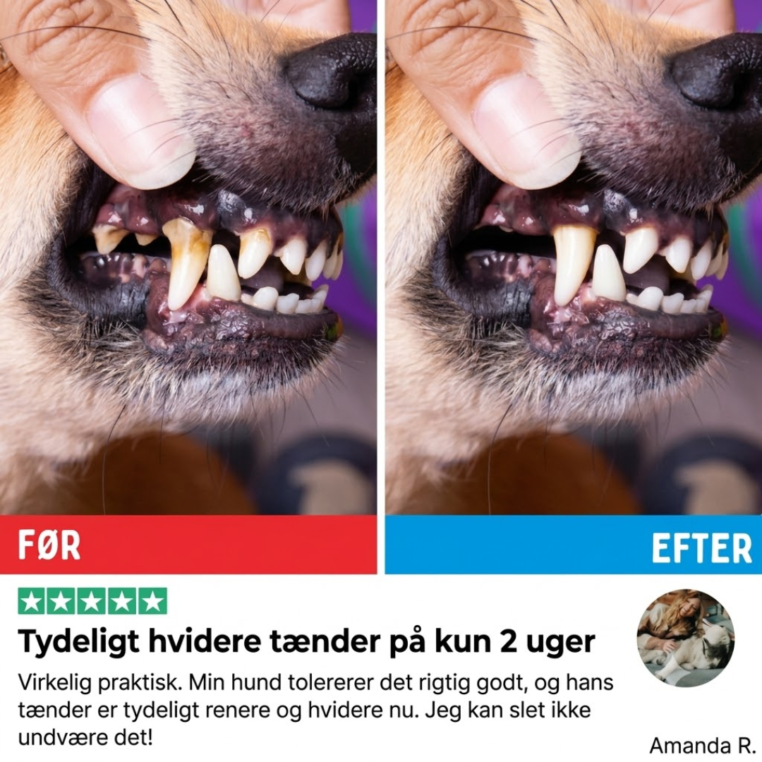 PetSmile™ Blide tandservietter til hund og kat