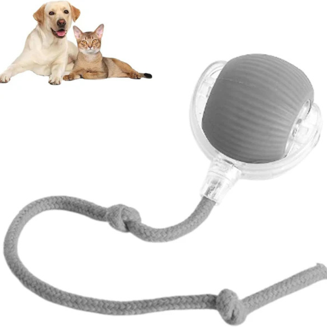 FurFun™ | Uendelig sjov for din pelsede ven – interaktiv leg gjort nemt!