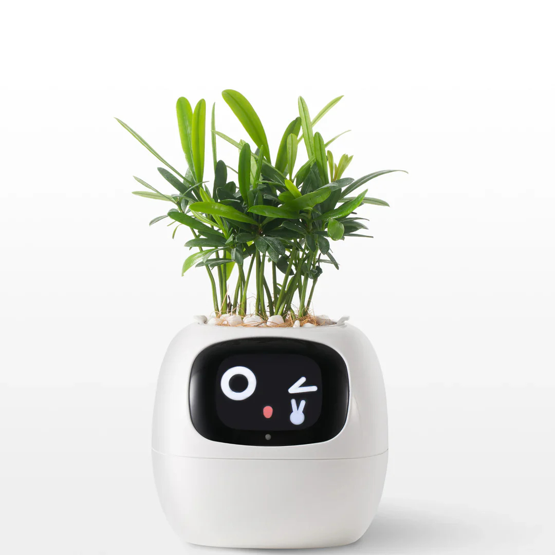 GrowSense™ | Den Smarte Plantepotte, der Bliver Din Nye Planteven! 🌱
