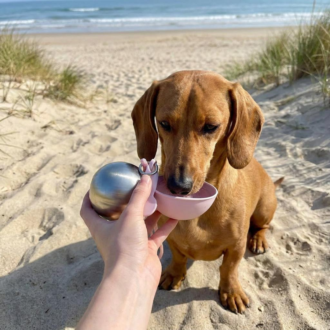 HundeFlaske™ - Vand til hunden på farten