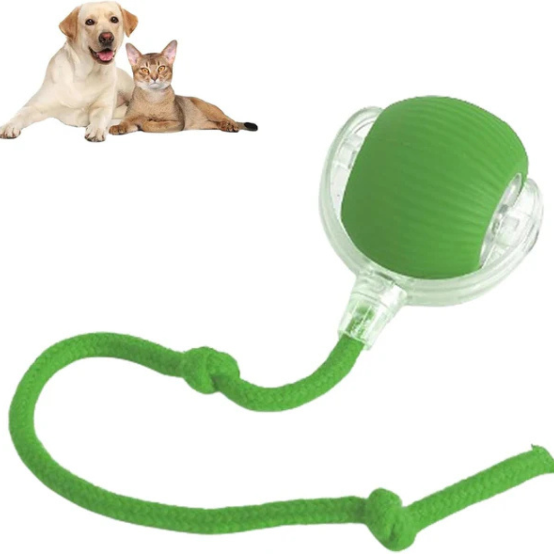 FurFun™ | Uendelig sjov for din pelsede ven – interaktiv leg gjort nemt!