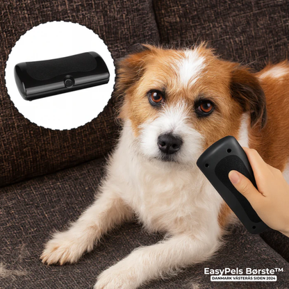 EasyPels Børste™ | Slut med pels overalt – Den ultimative hundebørste alle ejere elsker!