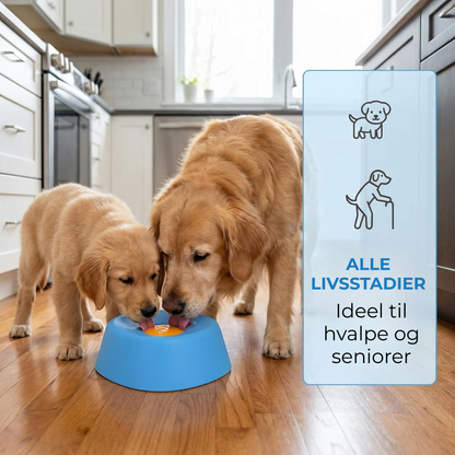 RoligRav™ | Snackbolden hunde elsker – og som skaber ro derhjemme
