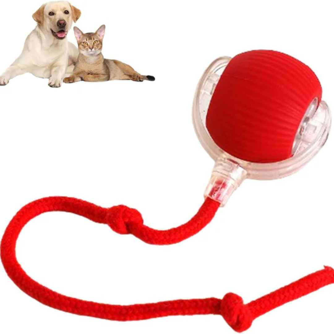 FurFun™ | Uendelig sjov for din pelsede ven – interaktiv leg gjort nemt!