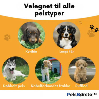 PelsBørste™ | Den ultimative hundebørste mod fældning og lopper