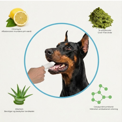 PetSmile™ Blide tandservietter til hund og kat