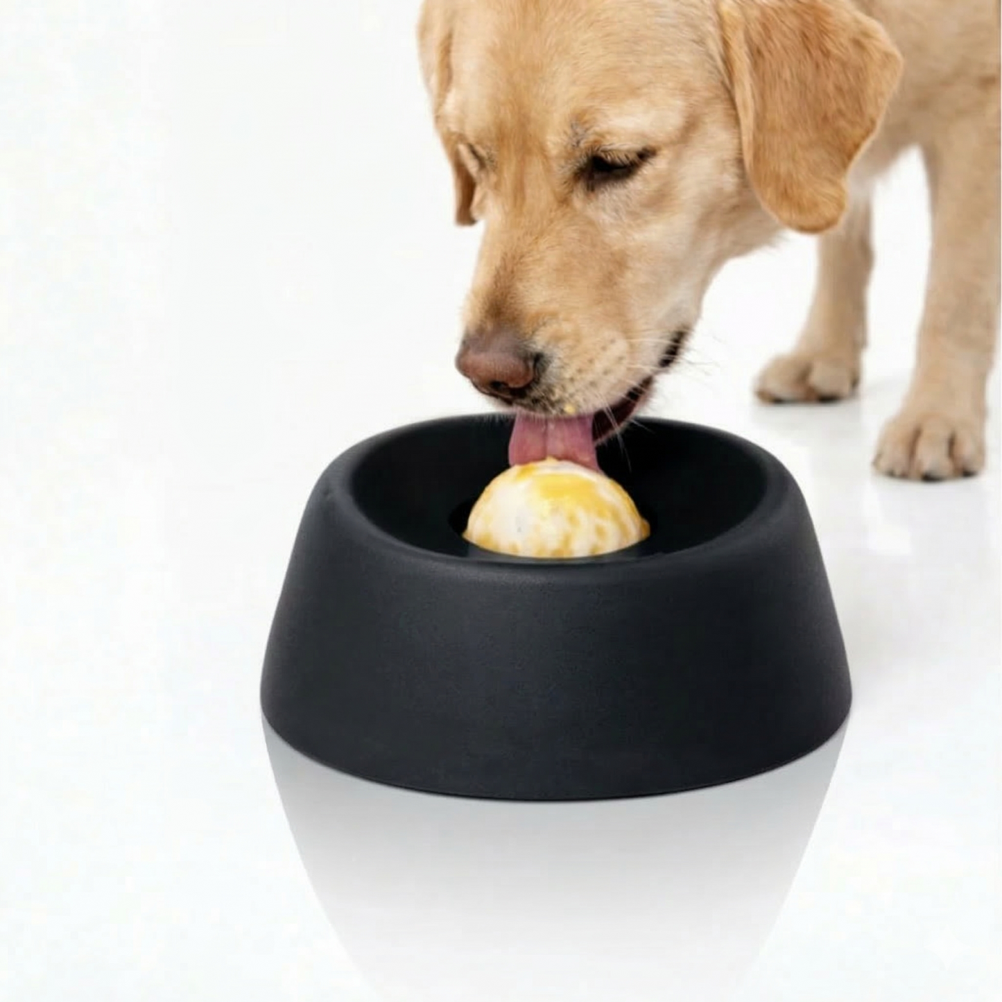 RoligRav™ | Snackbolden hunde elsker – og som skaber ro derhjemme