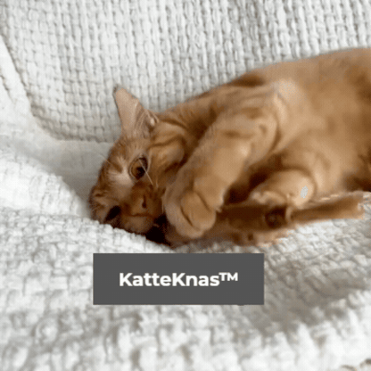 KatteKnas™ Naturlige silvervine tandpinde – rene tænder, glad kat